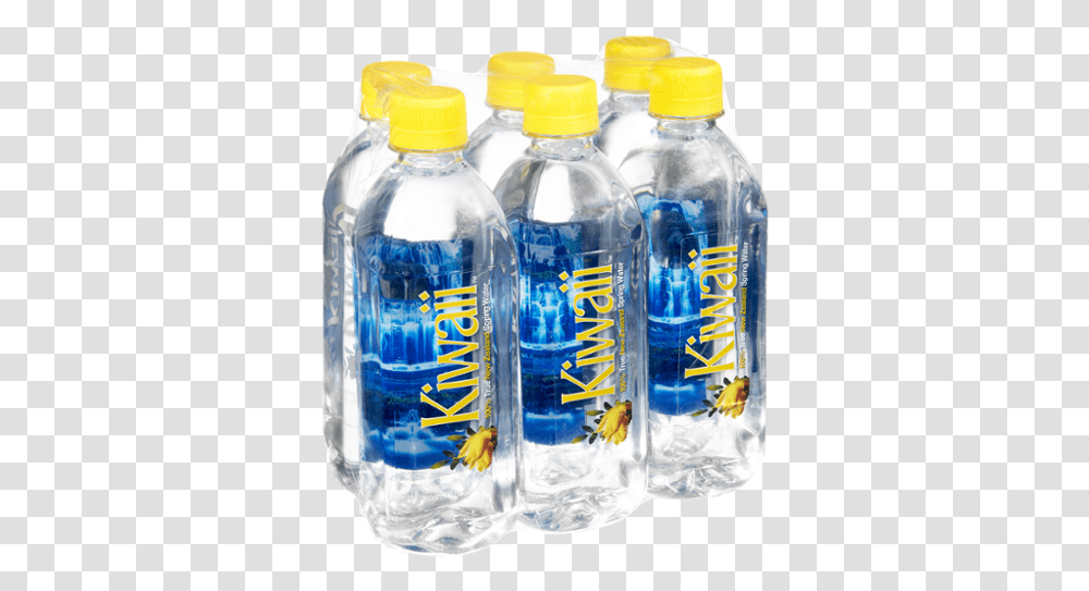 Fiji Water Bottle, Beverage, Drink, Honey Bee, Insect Transparent Png