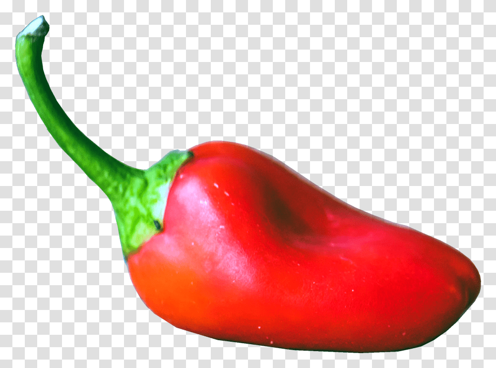 Fijian Bongo Chilli Pepper The Hot Sauce Survey Spicy, Plant, Vegetable, Food, Bell Pepper Transparent Png