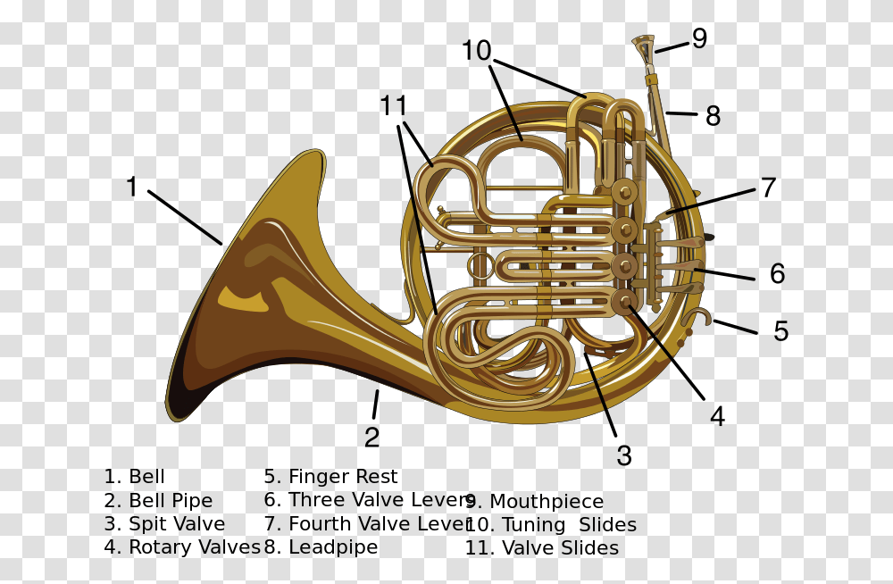 File Carynprice French Horn Svg Alat Musik Modern Parts Of A Double French Horn, Brass Section, Musical Instrument Transparent Png