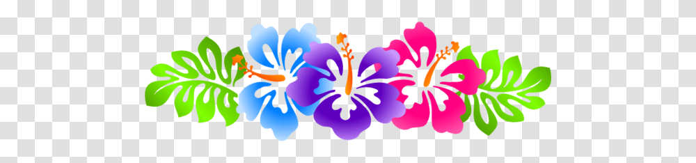 File Clip Art Borders Hawaiian Flower Border, Plant, Hibiscus, Blossom, Anther Transparent Png