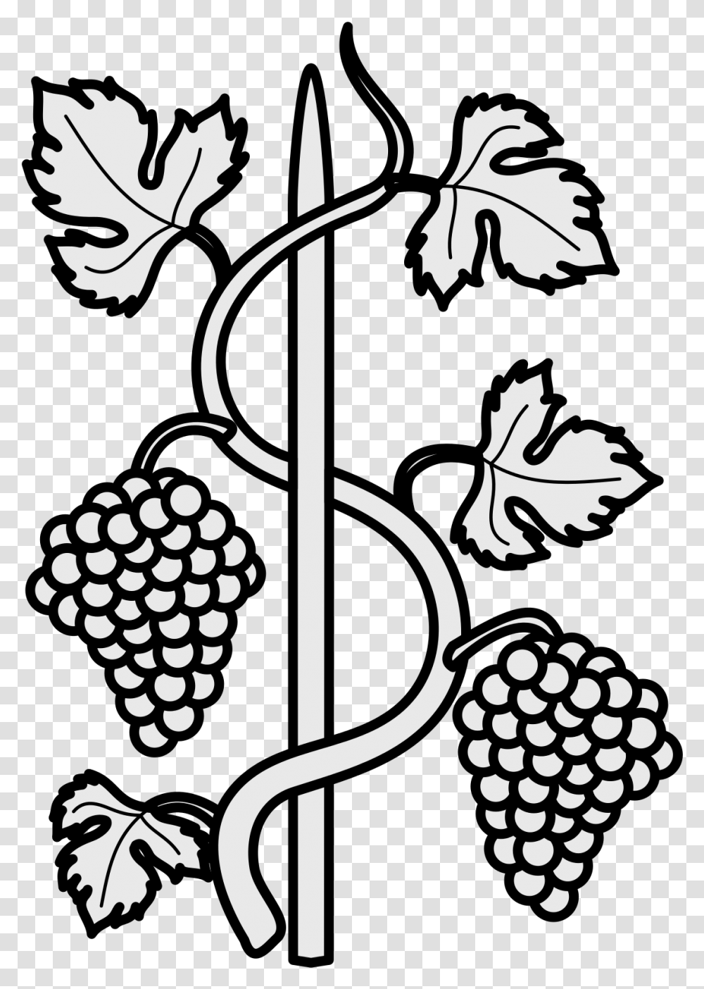 File Coa Illustration Elements Grapevine Coat Of Arms, Leaf, Plant, Poster, Advertisement Transparent Png