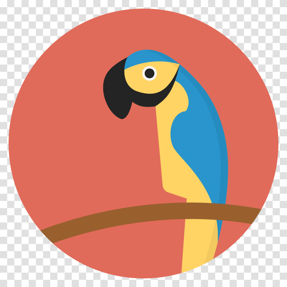 File Creative Tail Animal Parrot In A Circle, Face, Photography Transparent Png