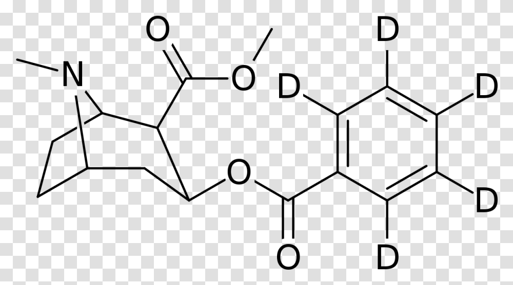 File D5 Phenyl Cocaine Svg Cocaine Vs Cocaine Methiodide, Gray, World Of Warcraft Transparent Png