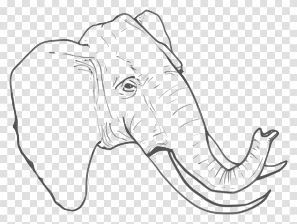 File Elephant Clipart Elephant Sketch Line Drawing, Animal, Stencil, Sport, Sports Transparent Png