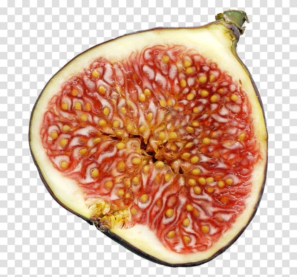 File Feige Schnitt Dead Wasps In Figs, Plant, Fruit, Food, Pizza Transparent Png