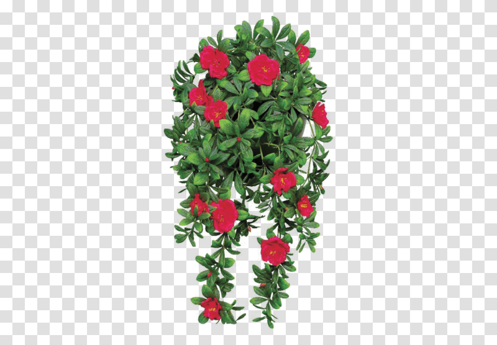 File Flower 5 Image Hanging Plants With Red Flowers, Geranium, Blossom, Bush, Vegetation Transparent Png
