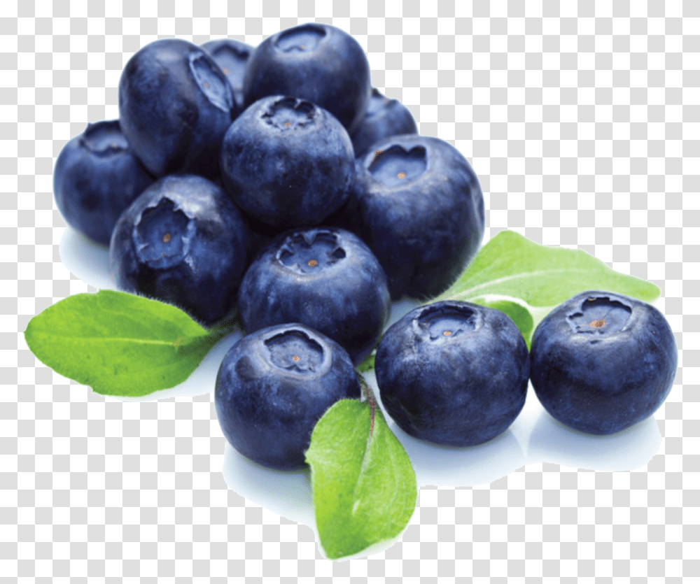 File For Designing Projects Background Blueberries, Plant, Blueberry, Fruit, Food Transparent Png