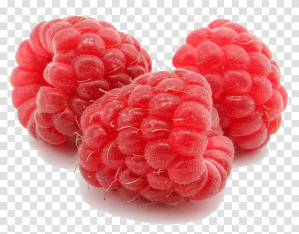 File For Designing Purpose Raspberry, Fruit, Plant, Food, Rose Transparent Png