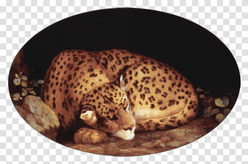 File George Stubbs Leopard, Wildlife, Animal, Mammal, Panther Transparent Png