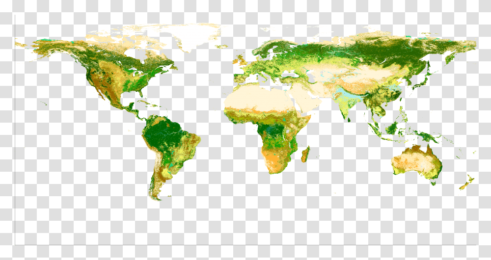File Globcov World Forest Cover 2018, Land, Outdoors, Nature, Plot Transparent Png