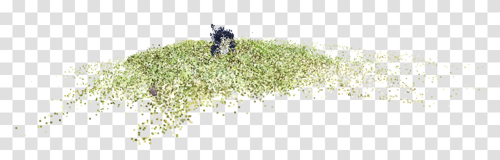 File Grass, Light, Glitter Transparent Png