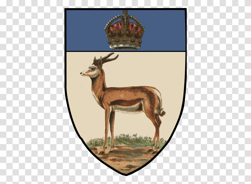 File Orangerivercolonyarms Orange River Colony Coat Of Arms, Antelope, Wildlife, Mammal, Animal Transparent Png