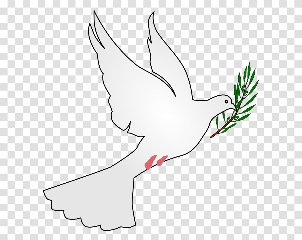 File Peace Dove Svg Peace Dove, Bird, Animal, Pigeon Transparent Png