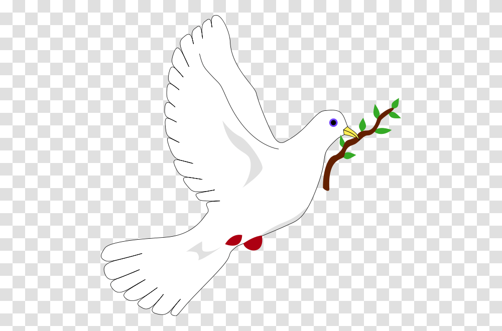 File Peace Dove Svg Wikipedia The Free Encyclopedia Peace Dove, Pigeon, Bird, Animal, Person Transparent Png