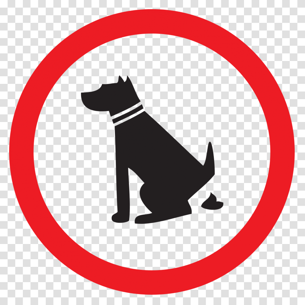 Не выгуливать собак