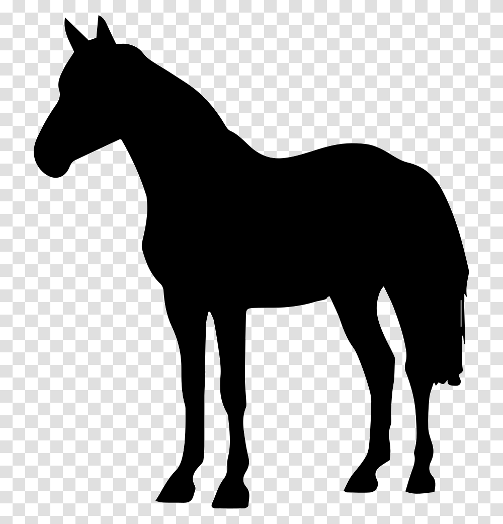 File Svg Quarter Horse Silhouette, Mammal, Animal, Stencil Transparent Png