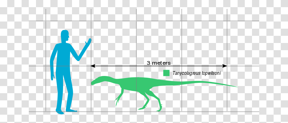 File Tanycolagreus Scale Svg Lesothosaurus, Person, Human, Dinosaur, Reptile Transparent Png