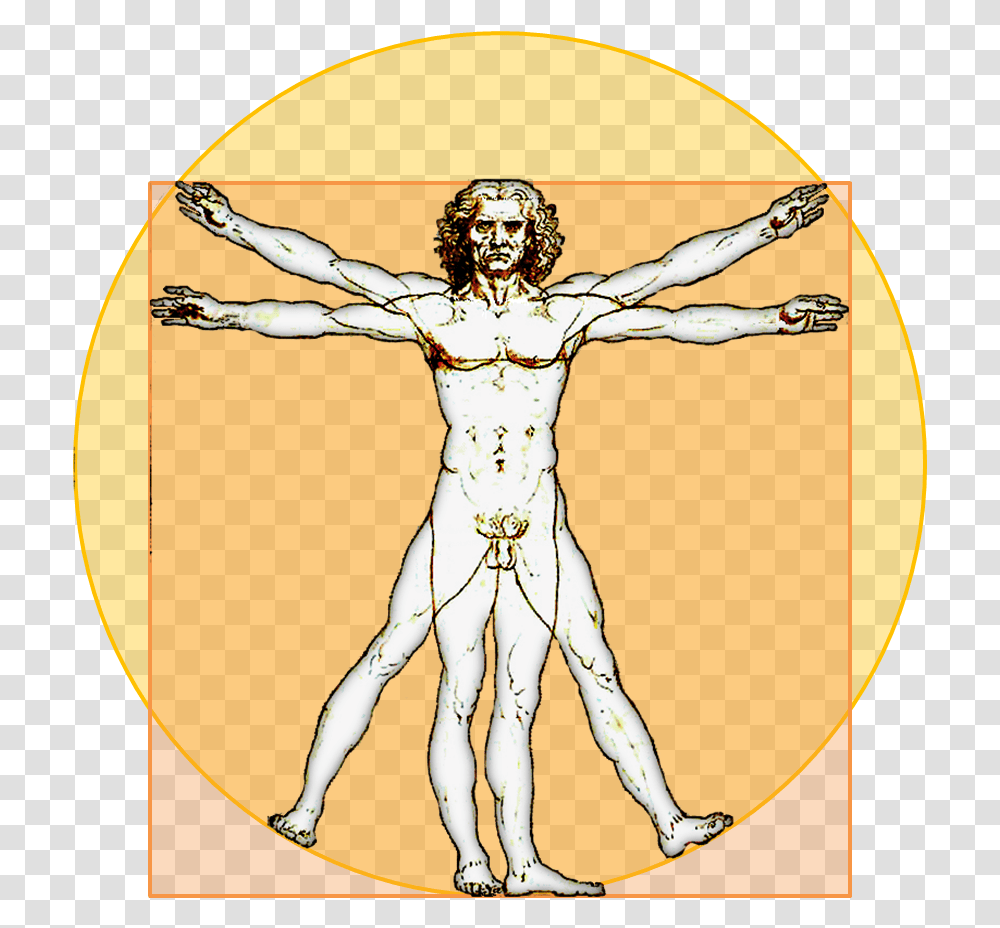 File Vitruvian Icon Leonardo Da Vinci T Pose, Person, Human, Cross Transparent Png