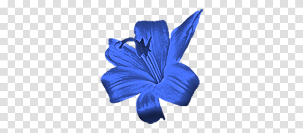Fileblueflowerpng Wikimedia Commons Dark Blue Flowers Fake, Plant, Blossom, Geranium, Iris Transparent Png