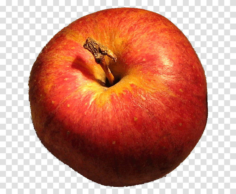 Filedg Applepng Wikimedia Commons Apples File, Fruit, Plant, Food, Insect Transparent Png