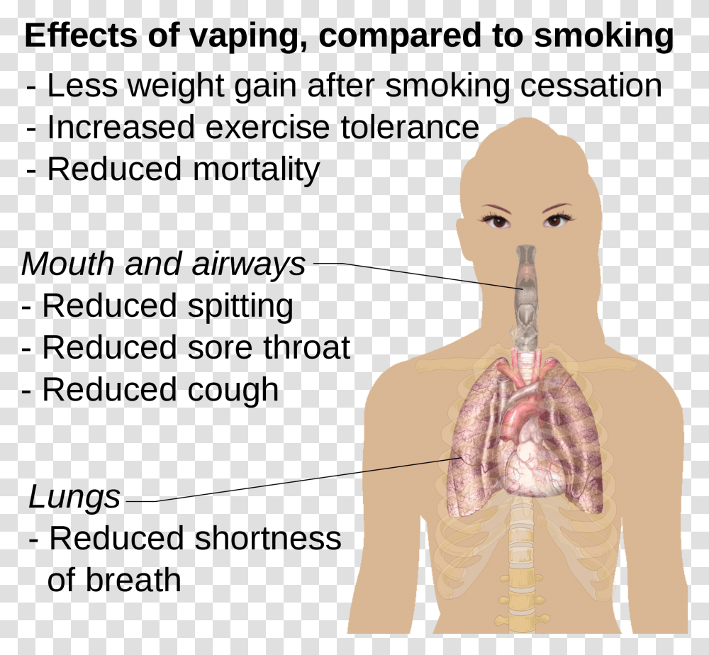 Fileeffects Of Vaping Compared To Smoking Rasterpng Effects Of E Cigarettes, Clothing, Person, Female, Face Transparent Png