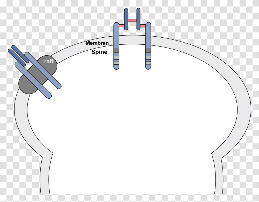 Filegm Raft Irpng Wikimedia Commons Diagram, Injection, Plot, White Board Transparent Png