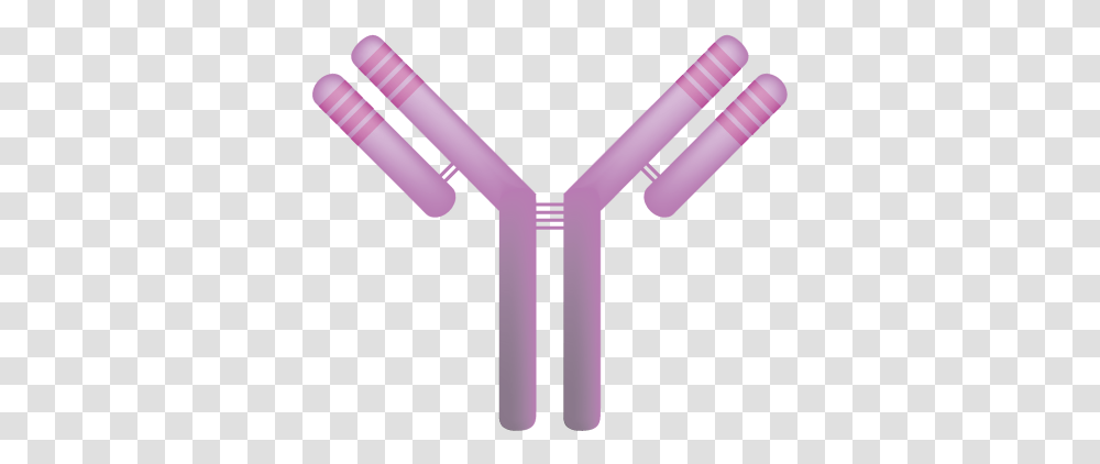 Fileimmunoglobulinpng Wikipedia Prevention Of Rh D Alloimmunization, Slingshot, Alphabet, Text, Key Transparent Png