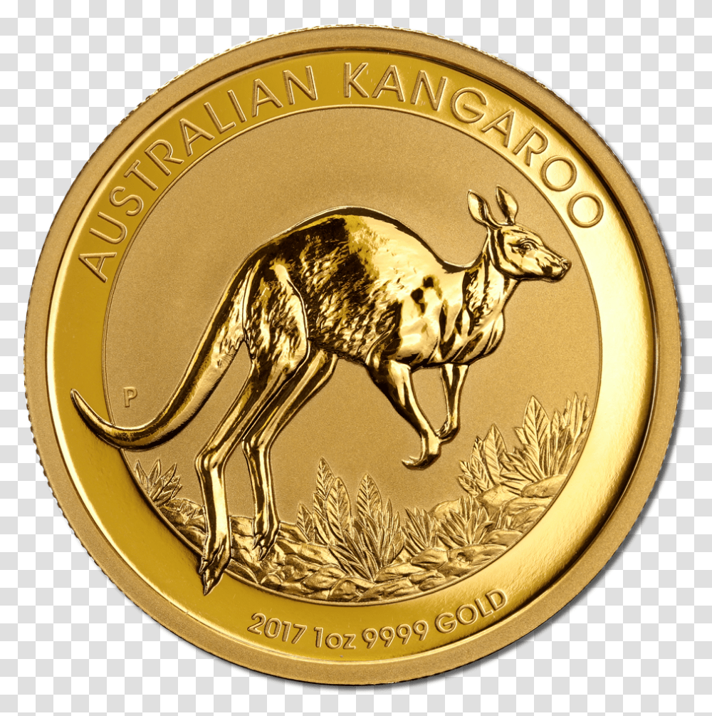 Filekangaroo Gold Coin 2017 Reversepng Wikimedia Commons Austalian Gold Coin, Money Transparent Png