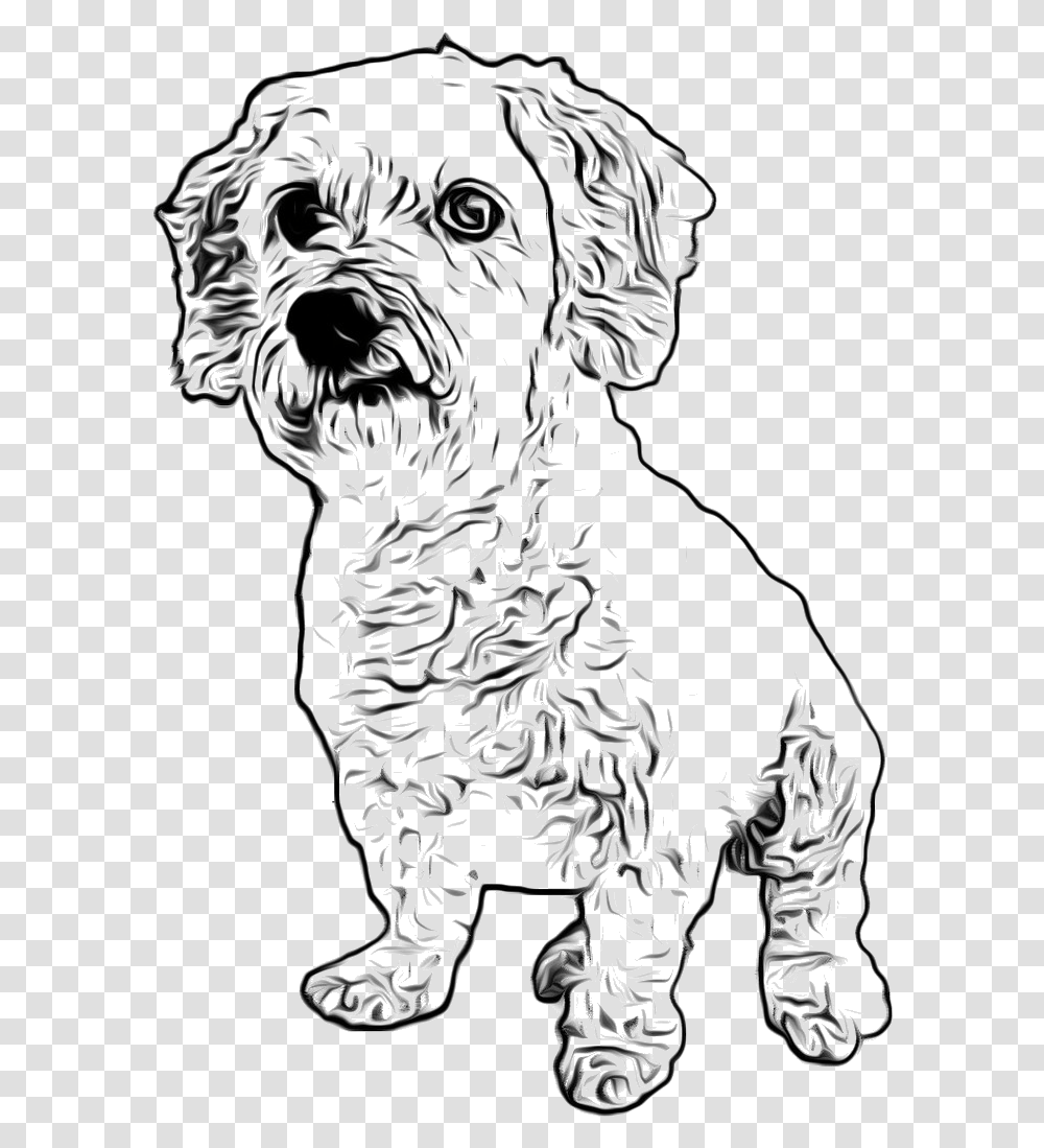 Filelittle White Dog Dog Drawing, Art, Pet, Animal, Mammal Transparent Png
