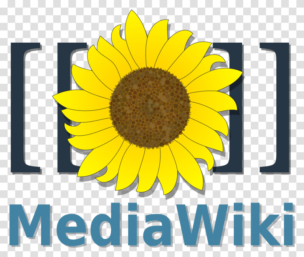 Filemediawiki Logo Reworkedsvg Wikimedia Commons Mediawiki Logo, Plant, Flower, Blossom, Sunflower Transparent Png