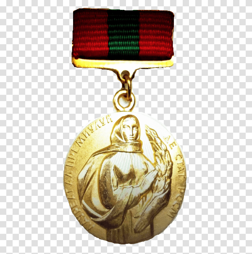 Filemssr Awardpng Wikipedia Gold Medal, Person, Human, Trophy Transparent Png