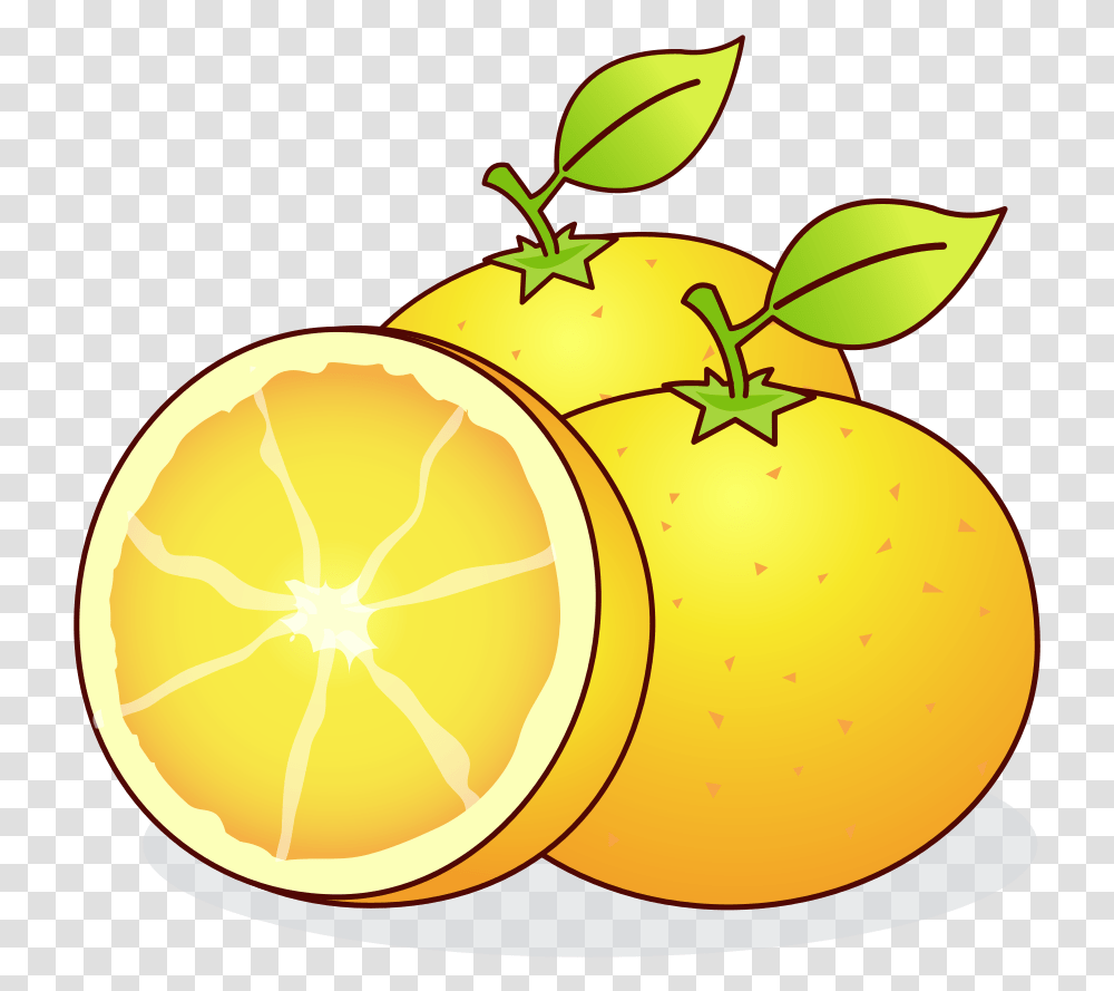 Fileoranges 336016svg Wikimedia Commons Historia As Tres Laranjas Magicas, Citrus Fruit, Plant, Food, Grapefruit Transparent Png