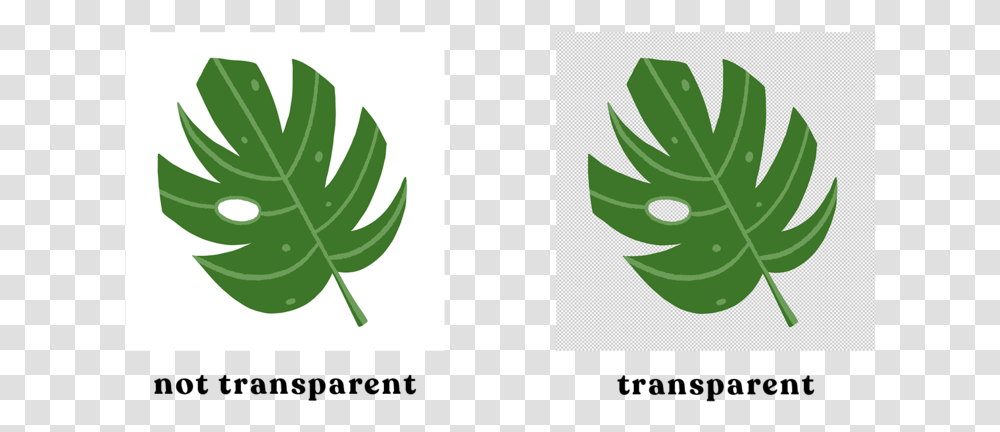 Files Are When There Isnt A Background Illustration, Leaf, Plant, Logo Transparent Png