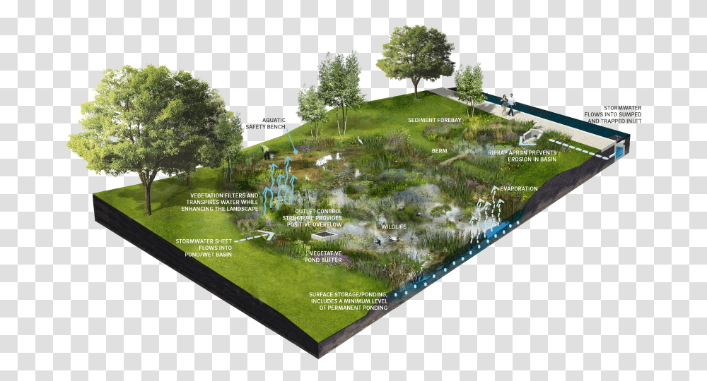 Fileschematicpng Minnesota Stormwater Manual, Land, Outdoors, Nature, Person Transparent Png
