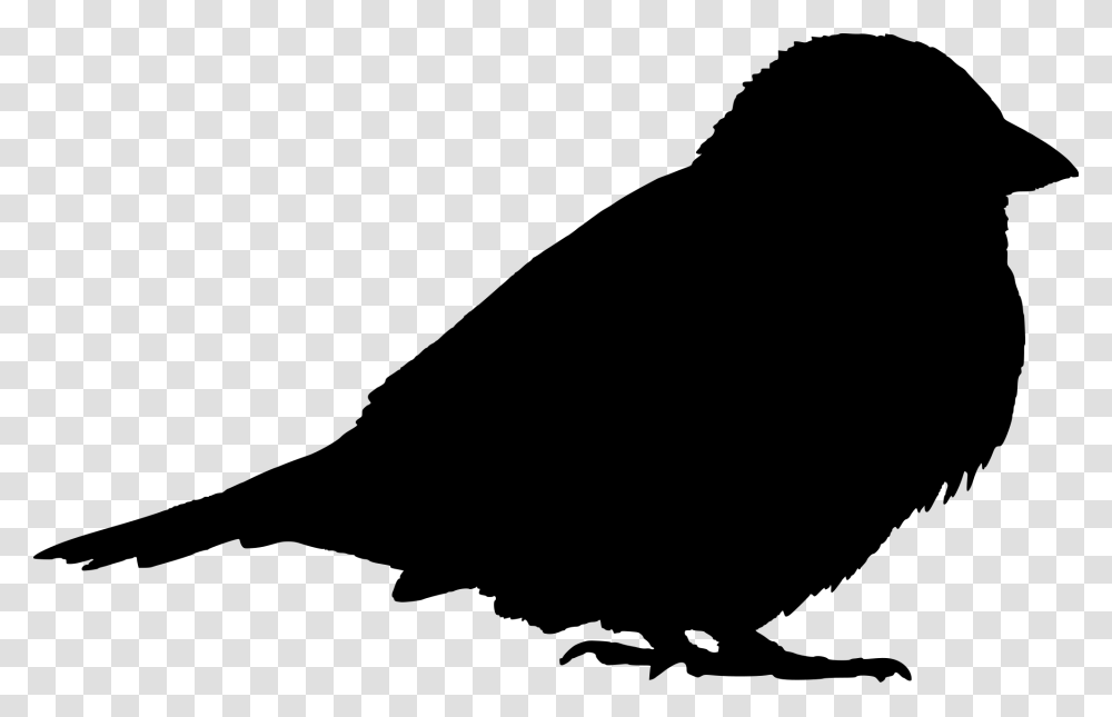 Filesparrow Silhouette Sparrow Silhouette, Gray, World Of Warcraft Transparent Png