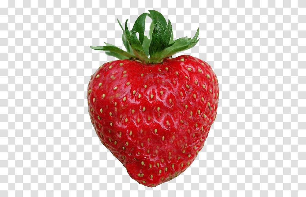 Filestrawberry Backgroundpng Wikimedia Commons Love You Berry Much, Fruit, Plant, Food, Fungus Transparent Png