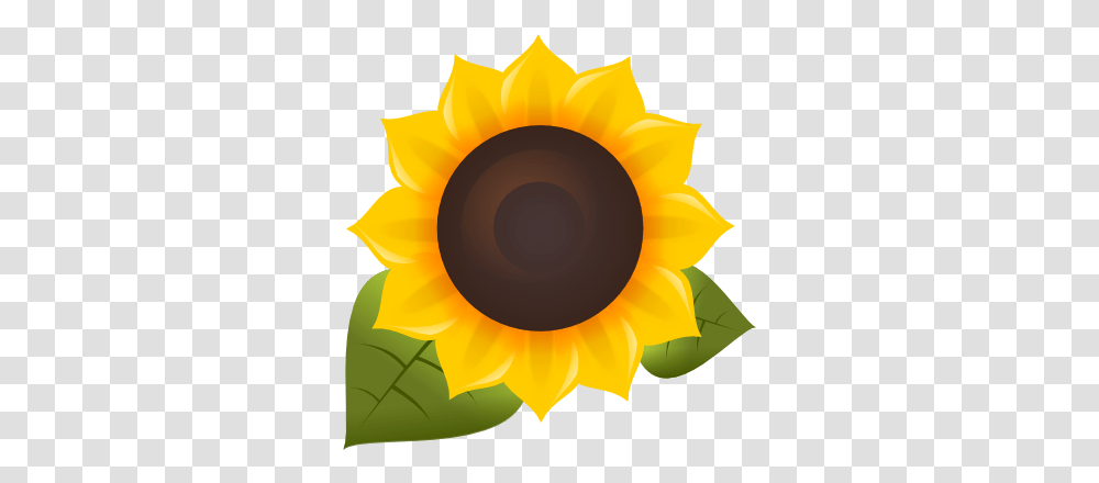 Filesunflower Fm Logopng Wikimedia Commons Sunflower Logo, Plant, Blossom, Lamp, Outdoors Transparent Png