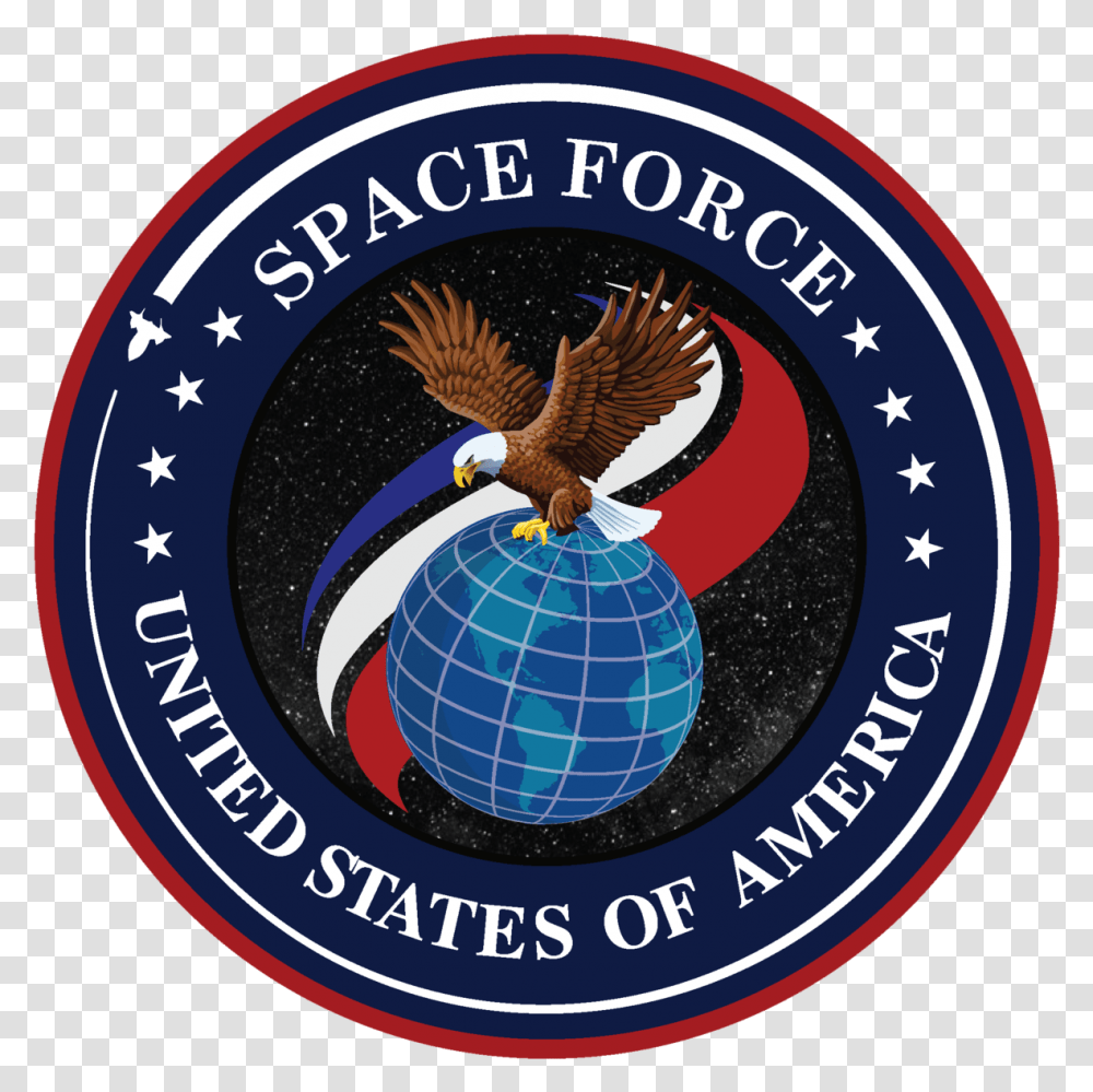 Fileunited States Space Forcepng Wikipedia Department Of The Navy, Eagle, Bird, Animal, Logo Transparent Png