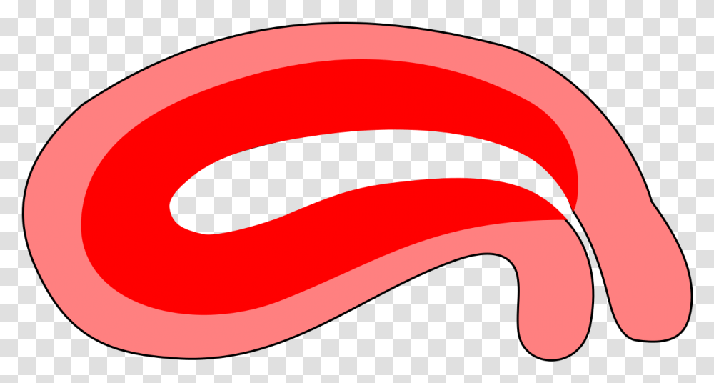 Fileuterus Distortion1svg Wikimedia Commons Clip Art, Graphics, Logo, Symbol, Trademark Transparent Png