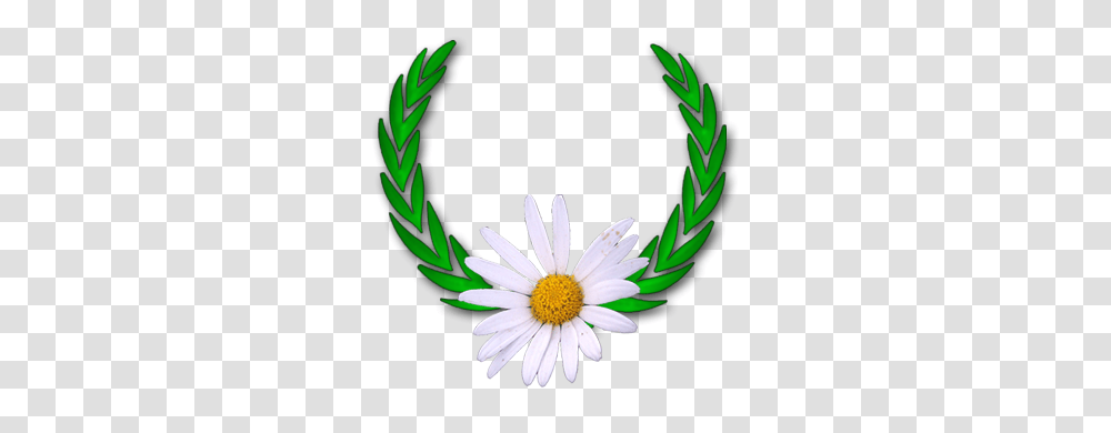 Filewikicrownpng Wikimedia Commons Daisy, Plant, Flower, Daisies, Blossom Transparent Png