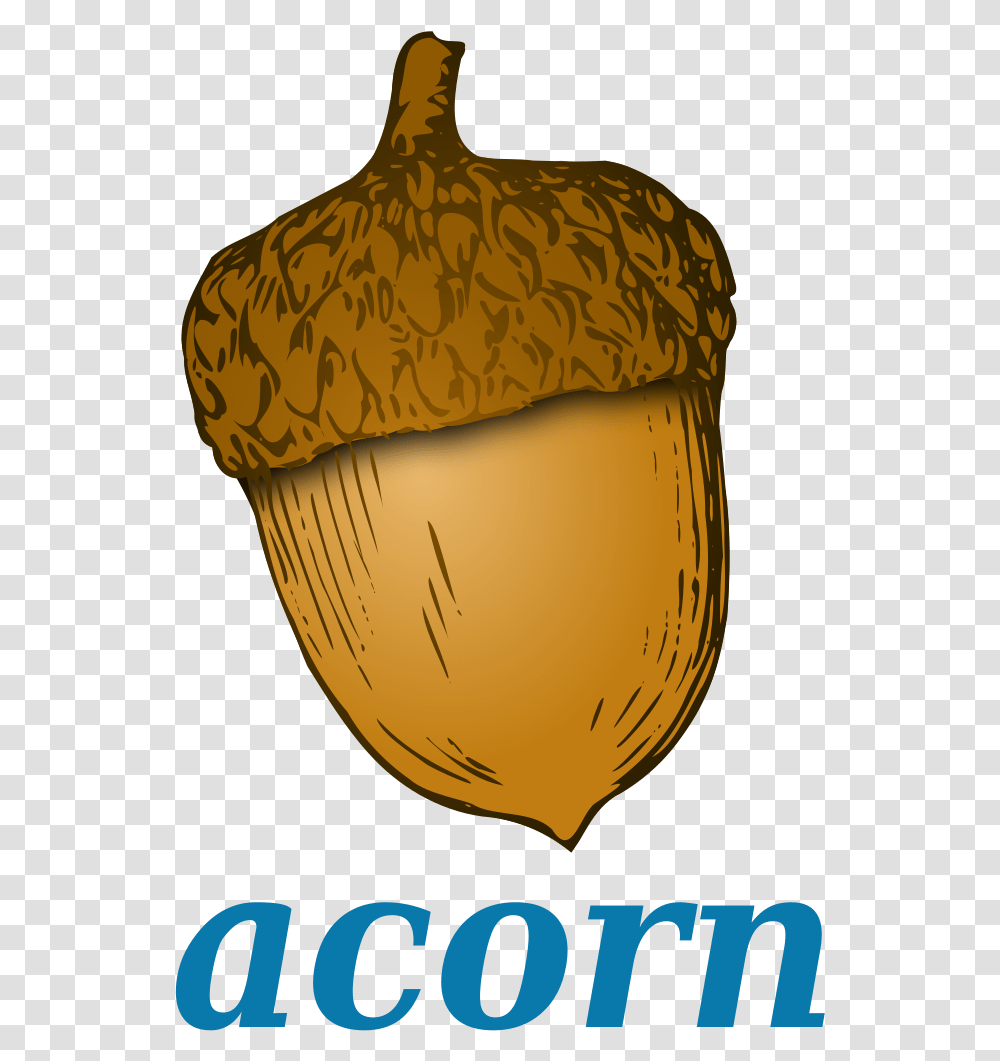 Filewikivoc Acornsvg Wikimedia Commons Oak Tree Clipart Acorn, Plant, Nut, Vegetable, Food Transparent Png