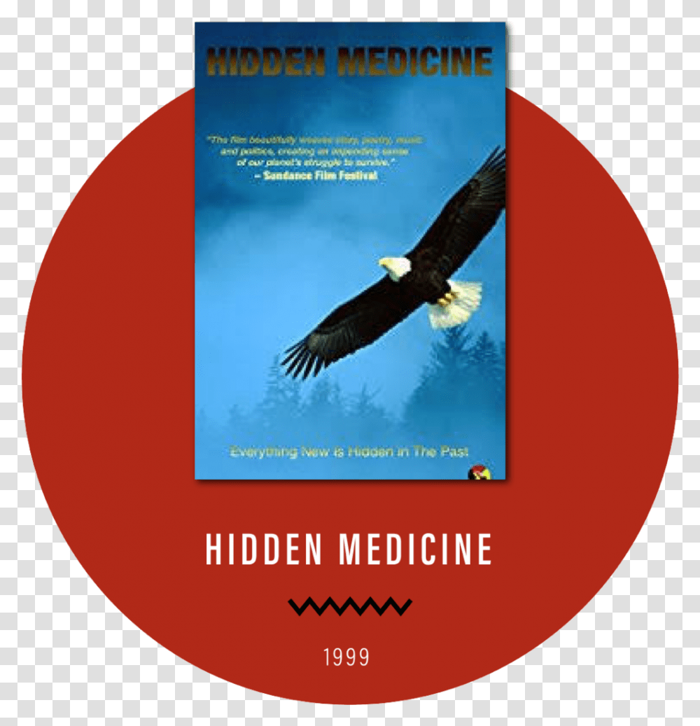 Film Card Hidden Medicine New, Eagle, Bird, Animal, Bald Eagle Transparent Png