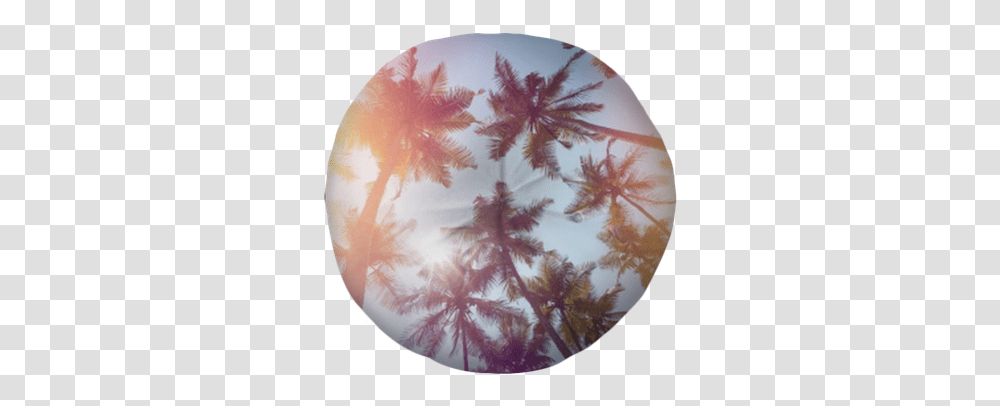 Film Light Leak Image Maple Leaf, Tree, Plant, Ornament, Gemstone Transparent Png