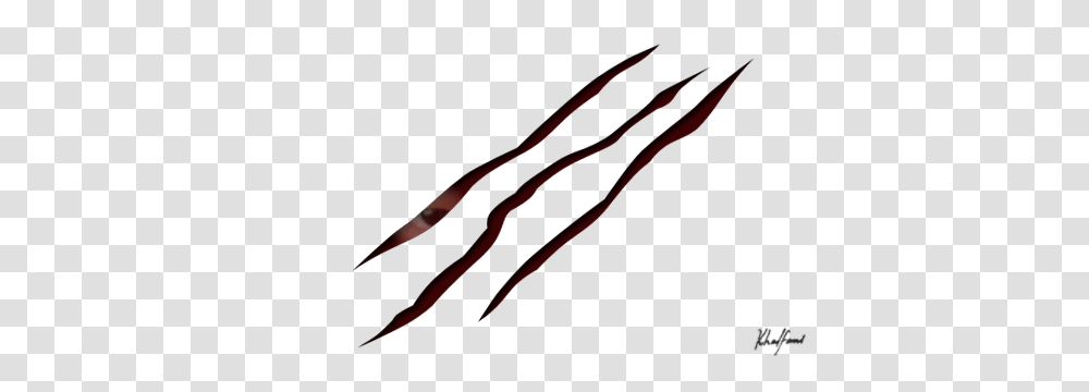 Film Scratches, Hook, Claw, Pliers Transparent Png