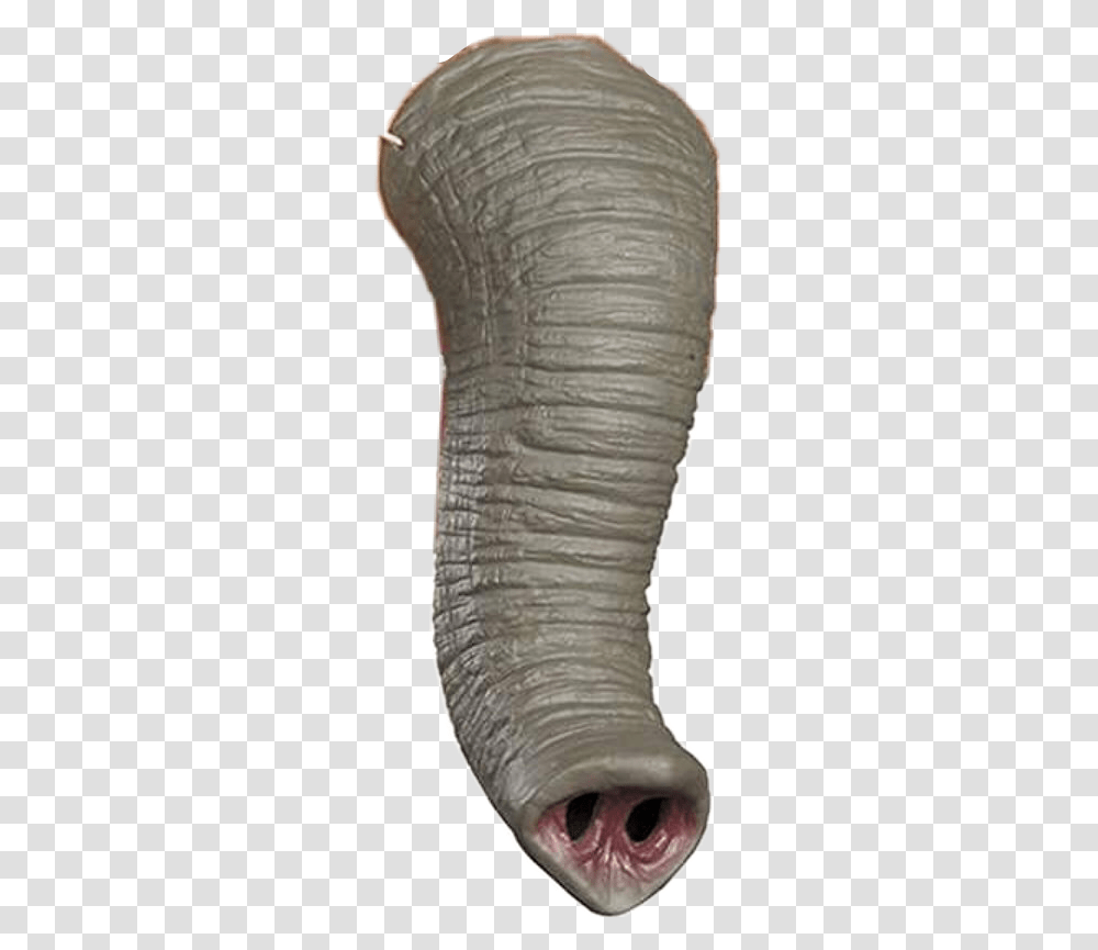 Filter Elephanttrunk Elephant Trunk Nose Elephantnose Vase, Head, Wildlife, Mammal, Animal Transparent Png