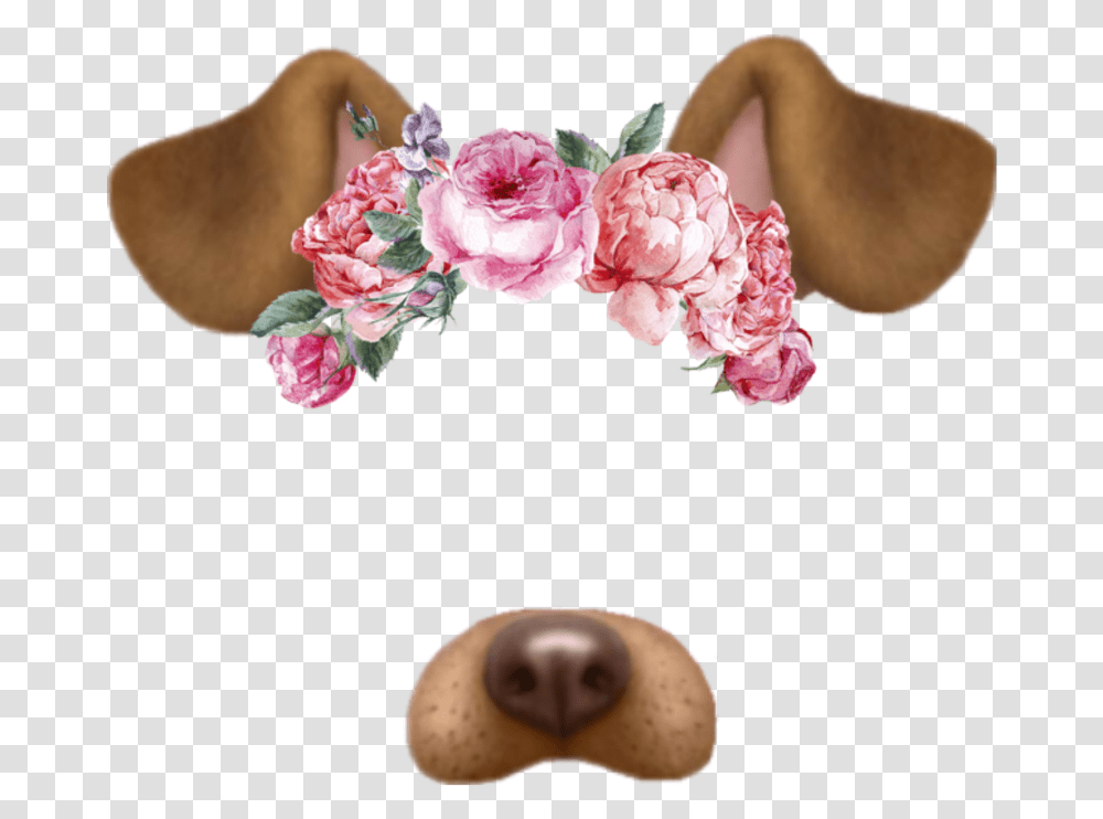 Filter Snapchat Dog Tumblr Flores Dog Snapchat, Plant, Flower, Blossom, Petal Transparent Png