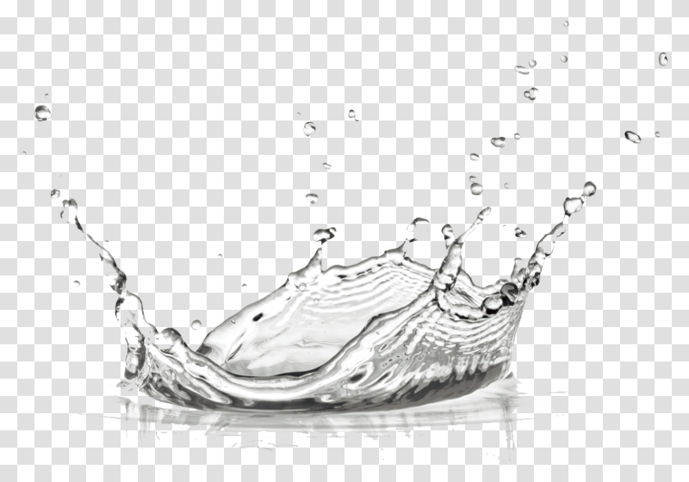 Filter Tap Photography Purification Water Stock Clipart White Water Splash, Droplet, Beverage, Drink, Bird Transparent Png