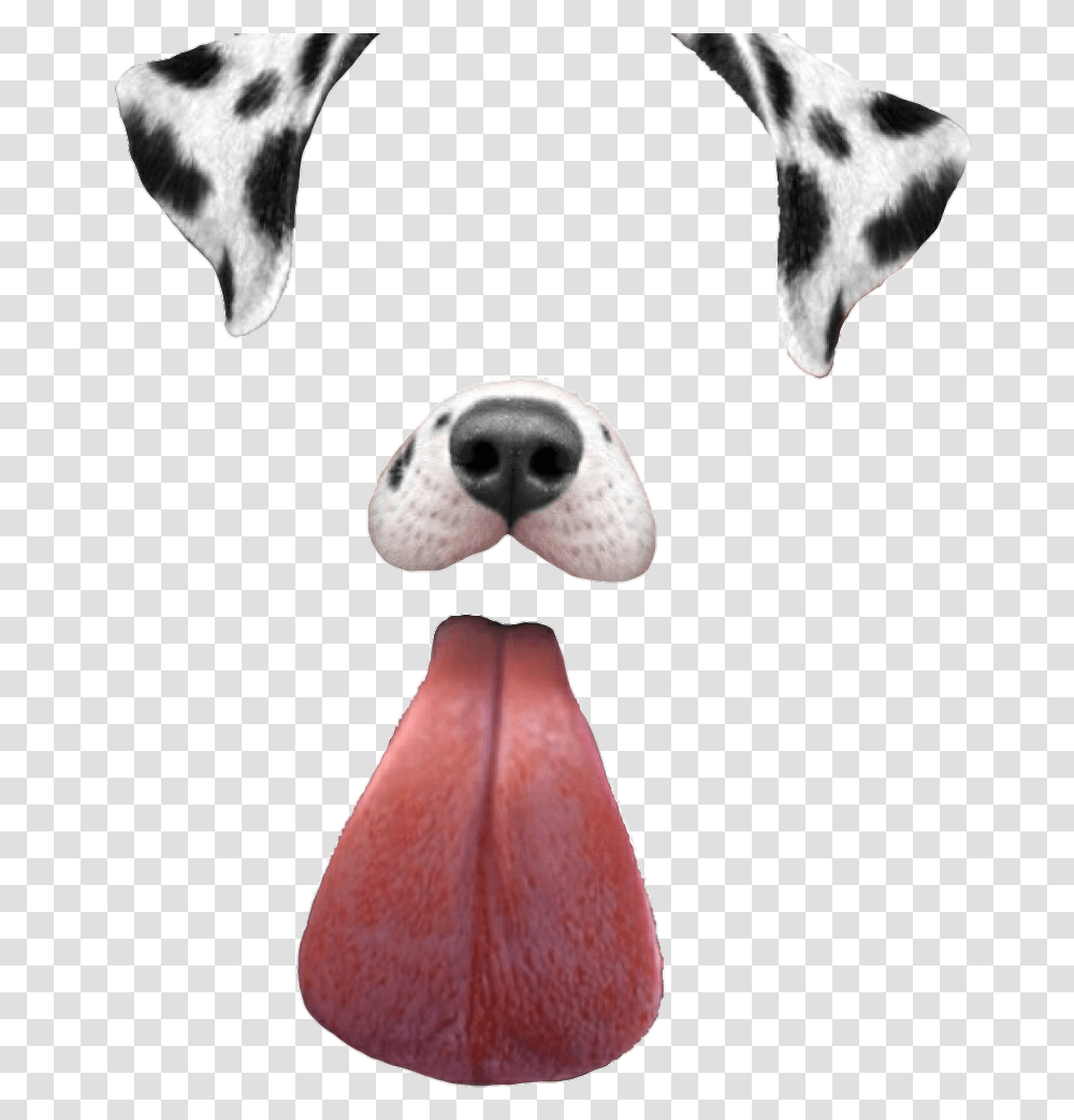 Filtros De Snapchat Perro, Mouth, Lip, Animal, Pet Transparent Png