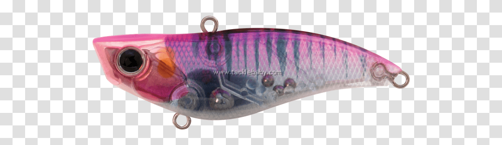 Fin, Accessories, Leisure Activities, Gemstone, Jewelry Transparent Png