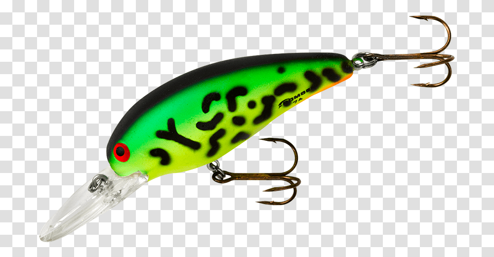 Fin, Fishing Lure, Bait Transparent Png